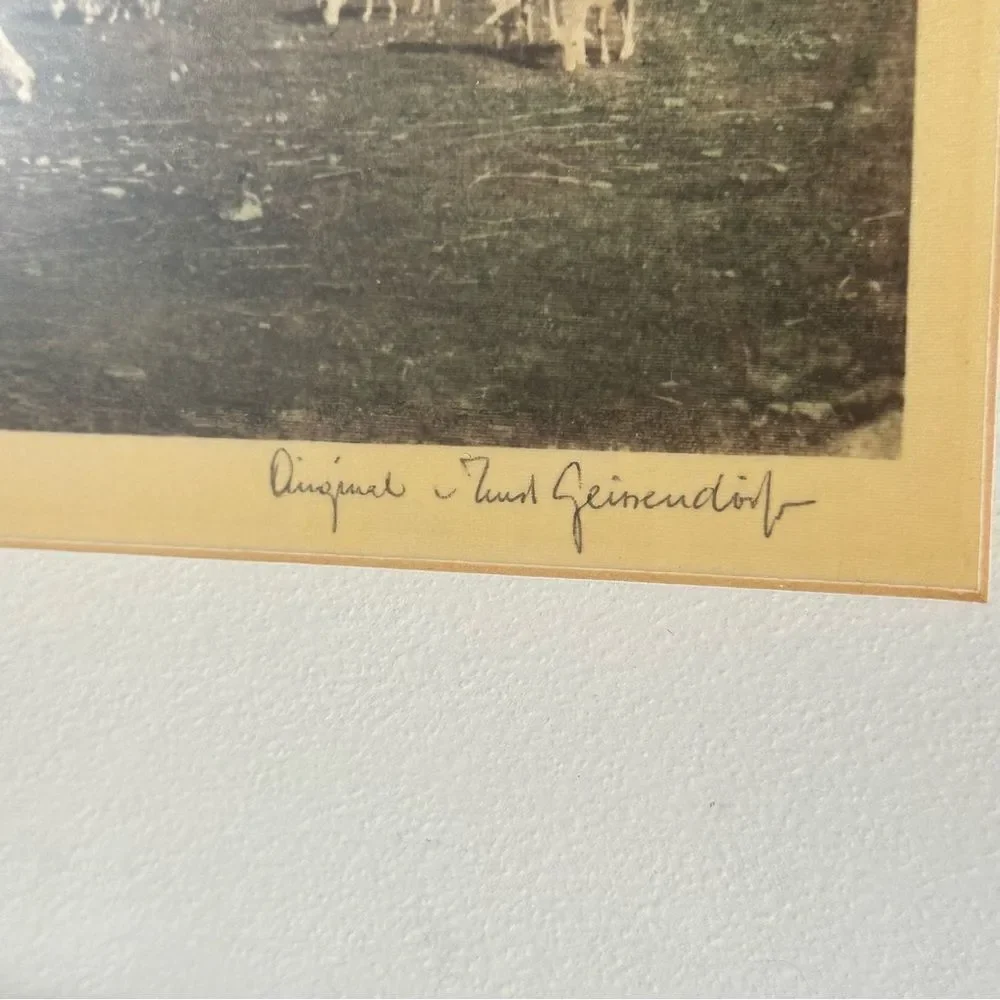N/A ernst geissendorfer